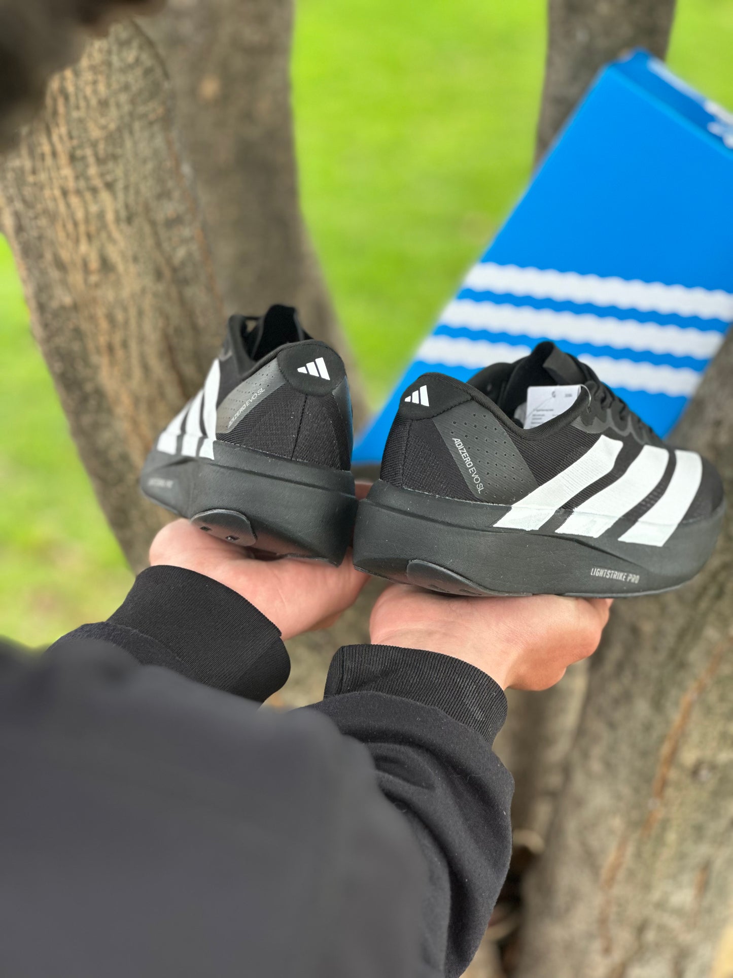 Adidas Adizero Evo SL
