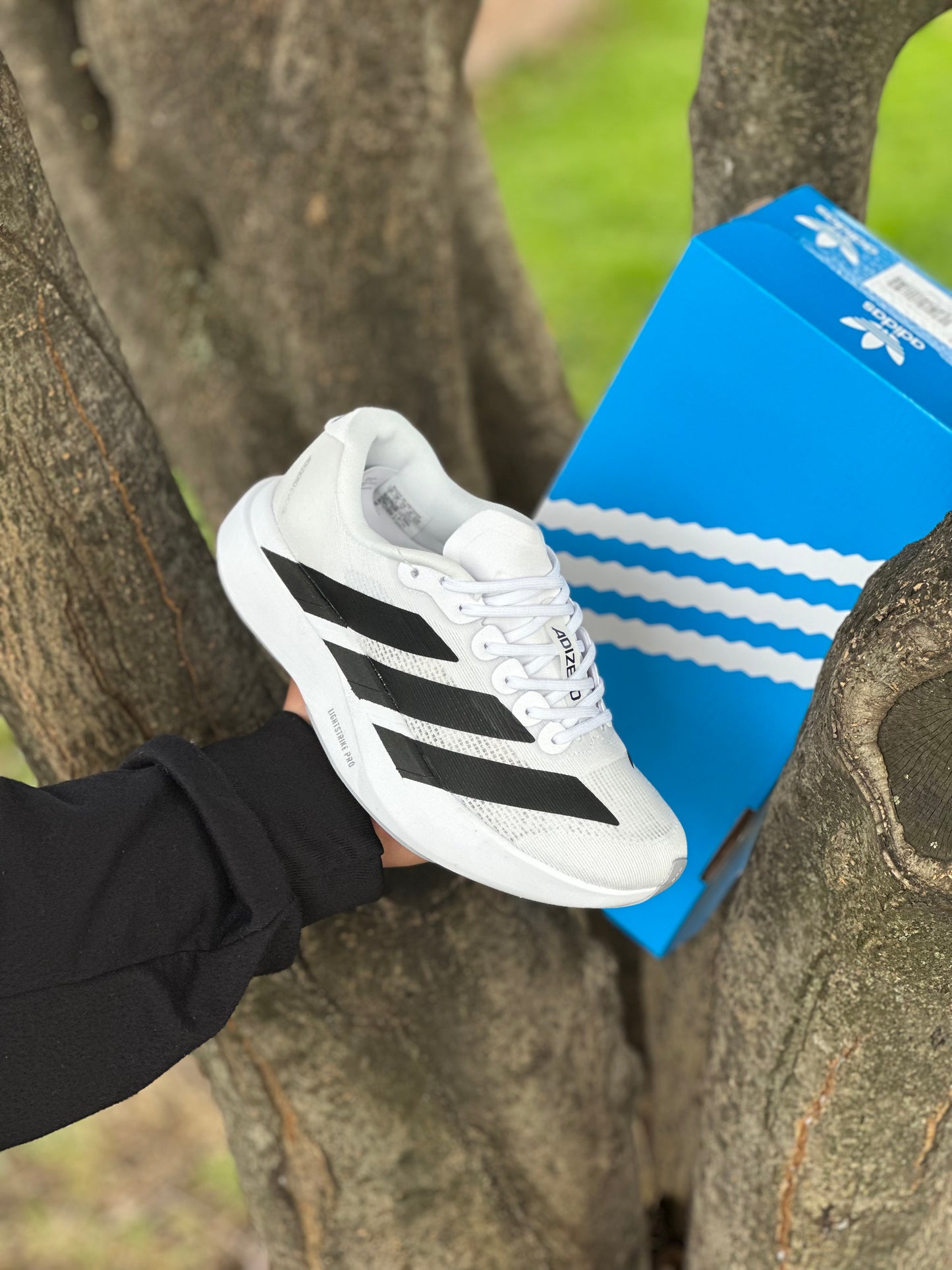 Adidas Adizero Evo SL