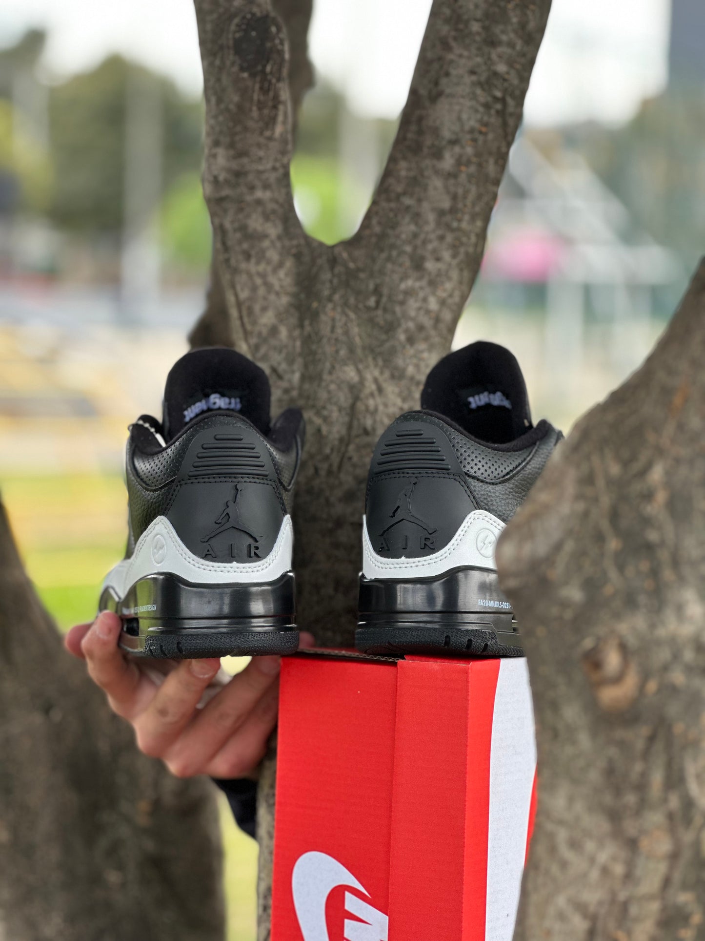 Air Jordan Retro 3 Fragmen