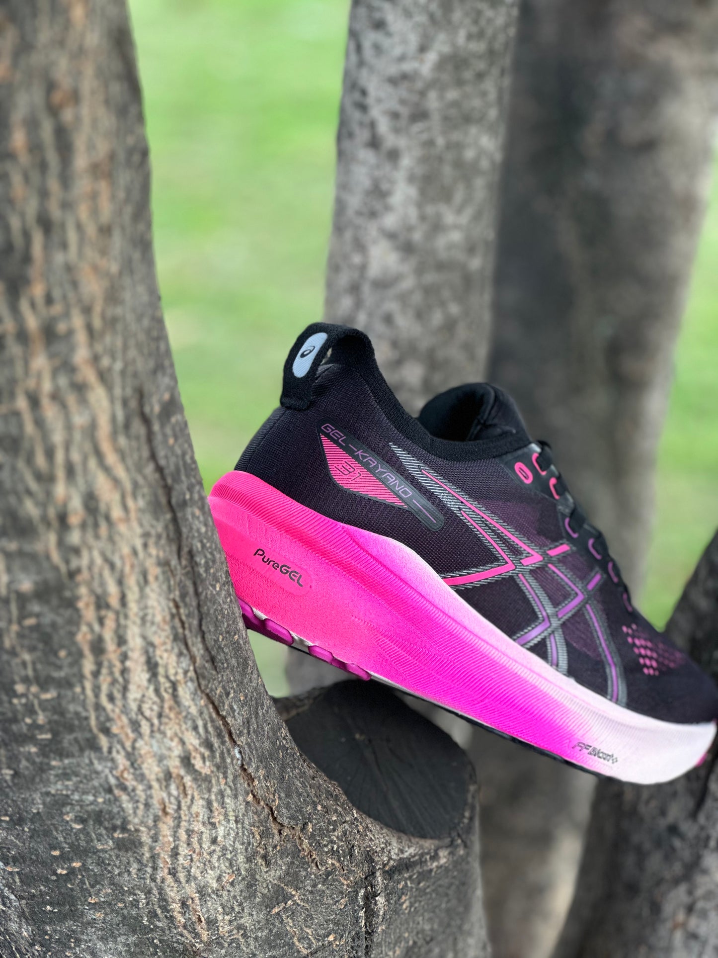Asics GEL - KAYANO