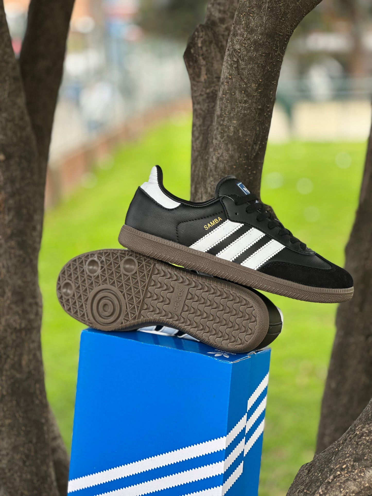 Adidas Samba