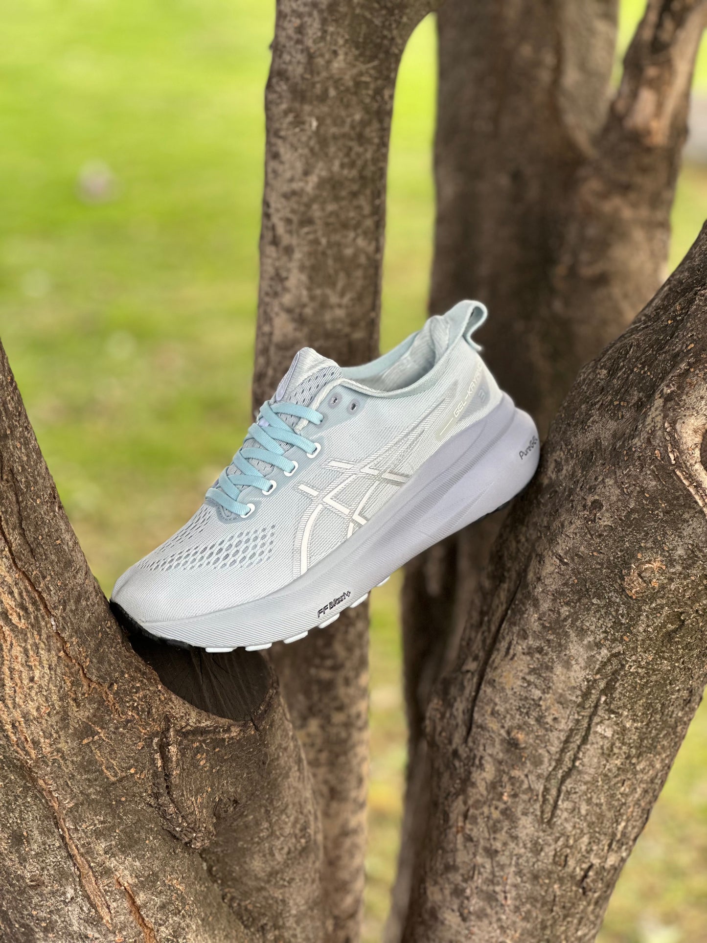 Asics GEL - KAYANO