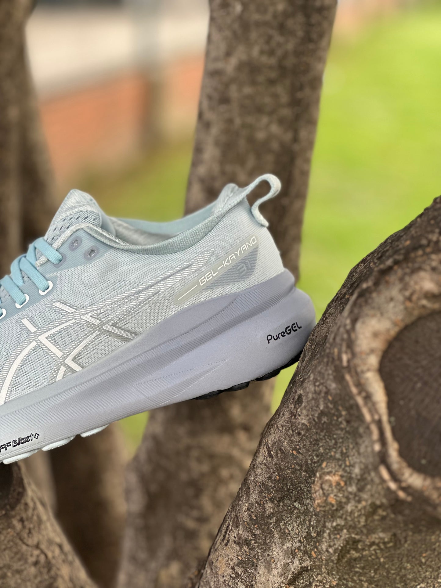 Asics GEL - KAYANO