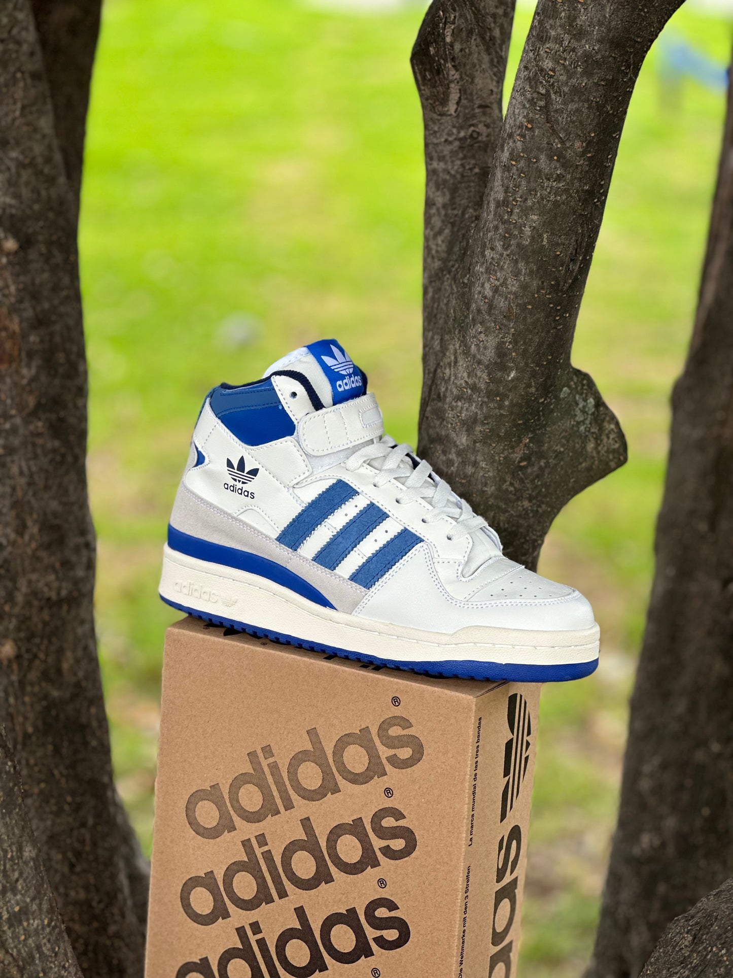 Adidas Fórum 84 High
