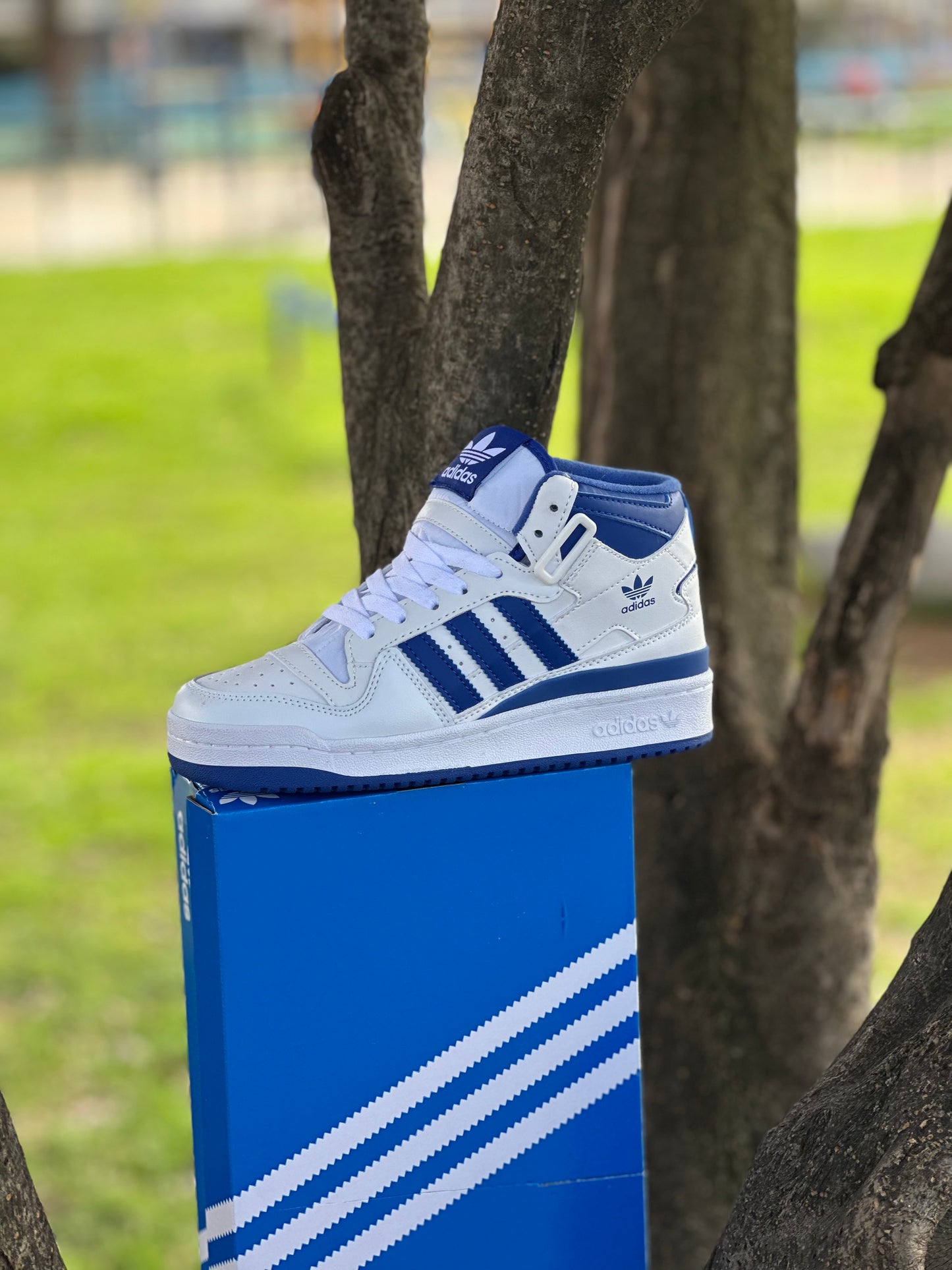 Adidas Fórum High