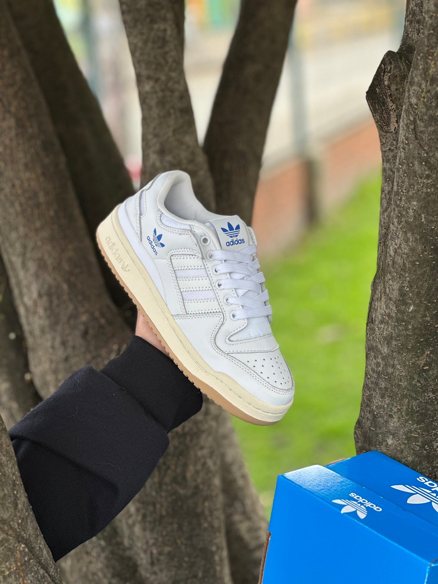 Adidas Fórum 84 Low