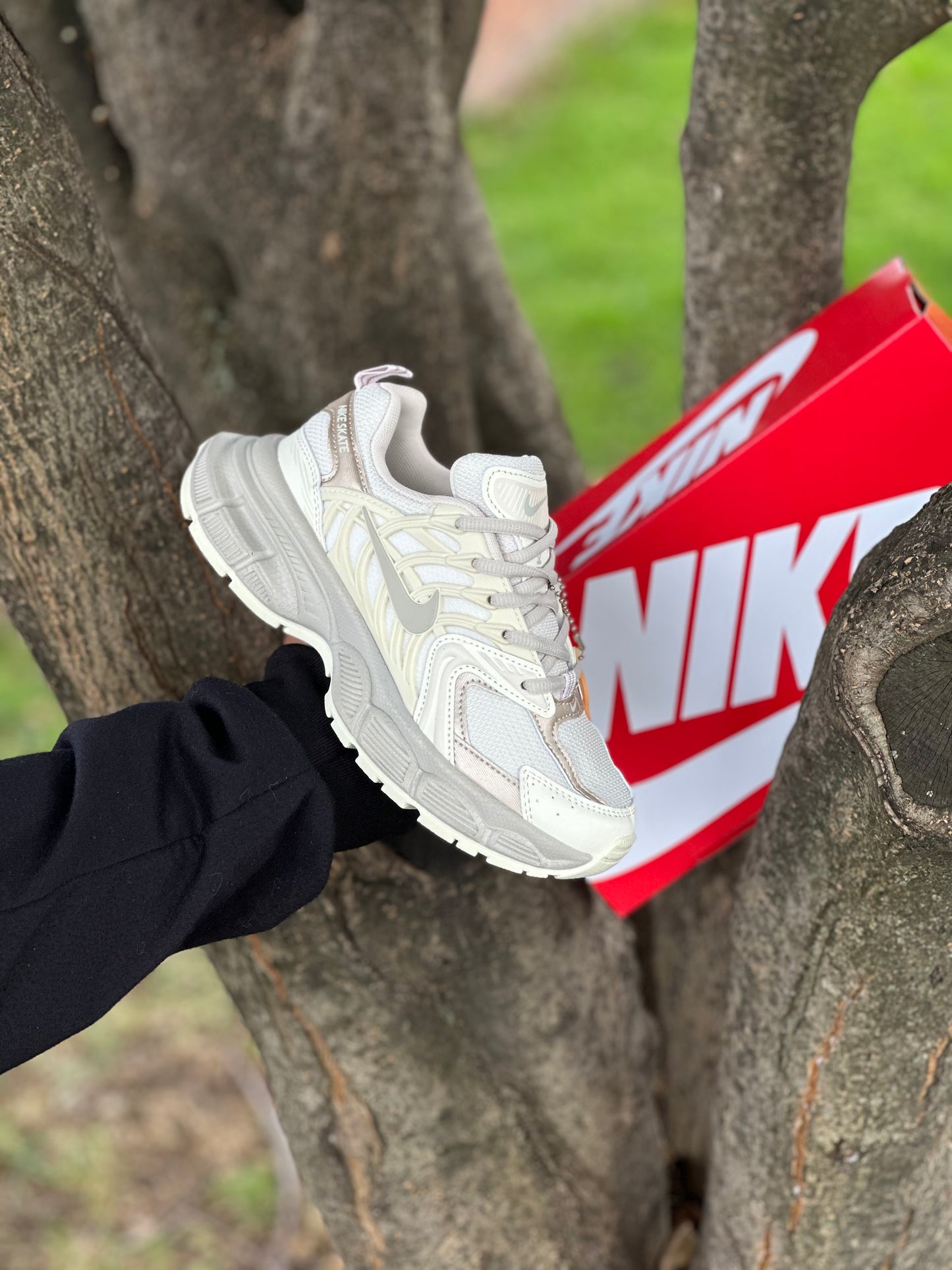 Nike Skate