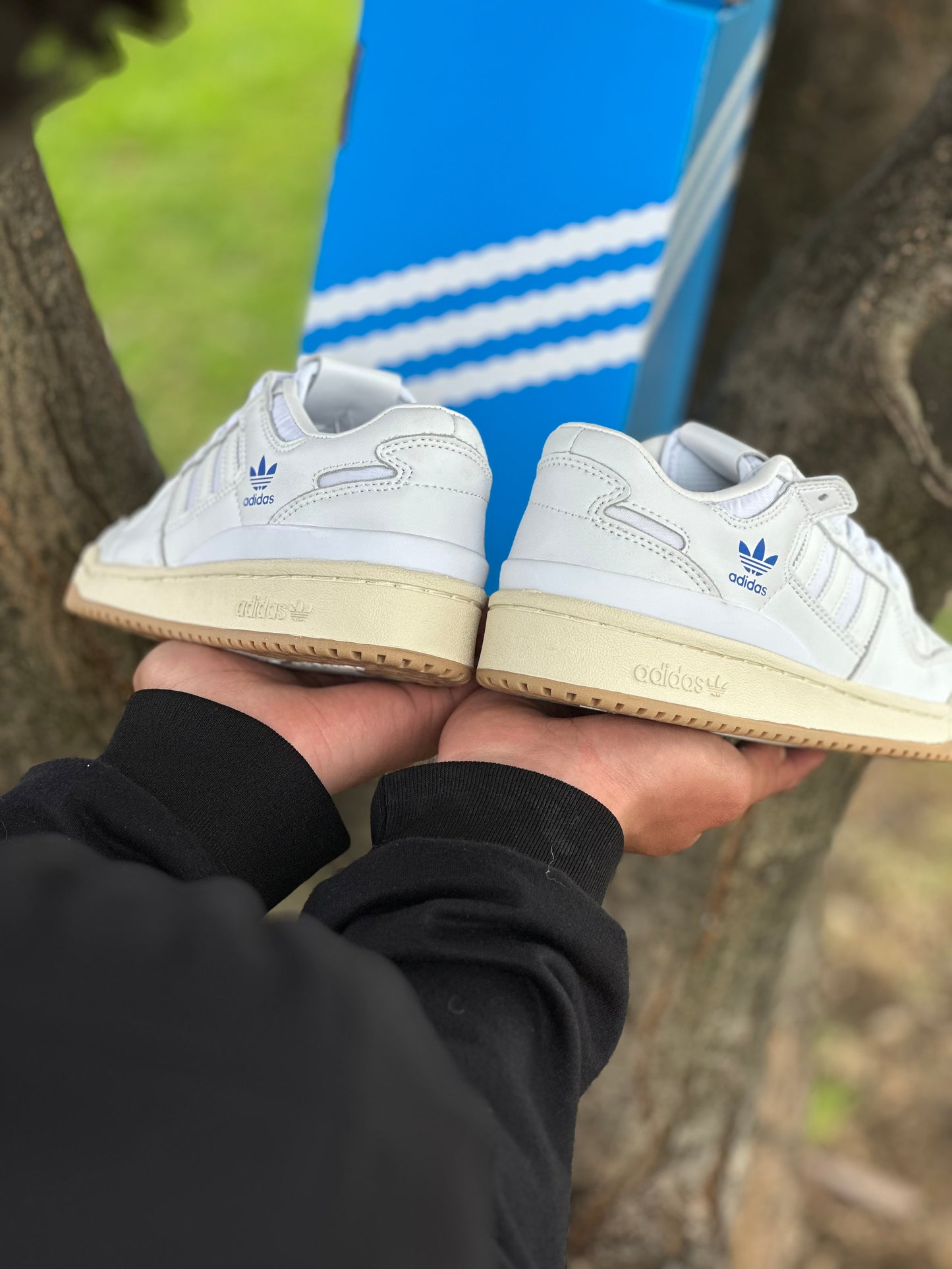 Adidas Fórum 84 Low