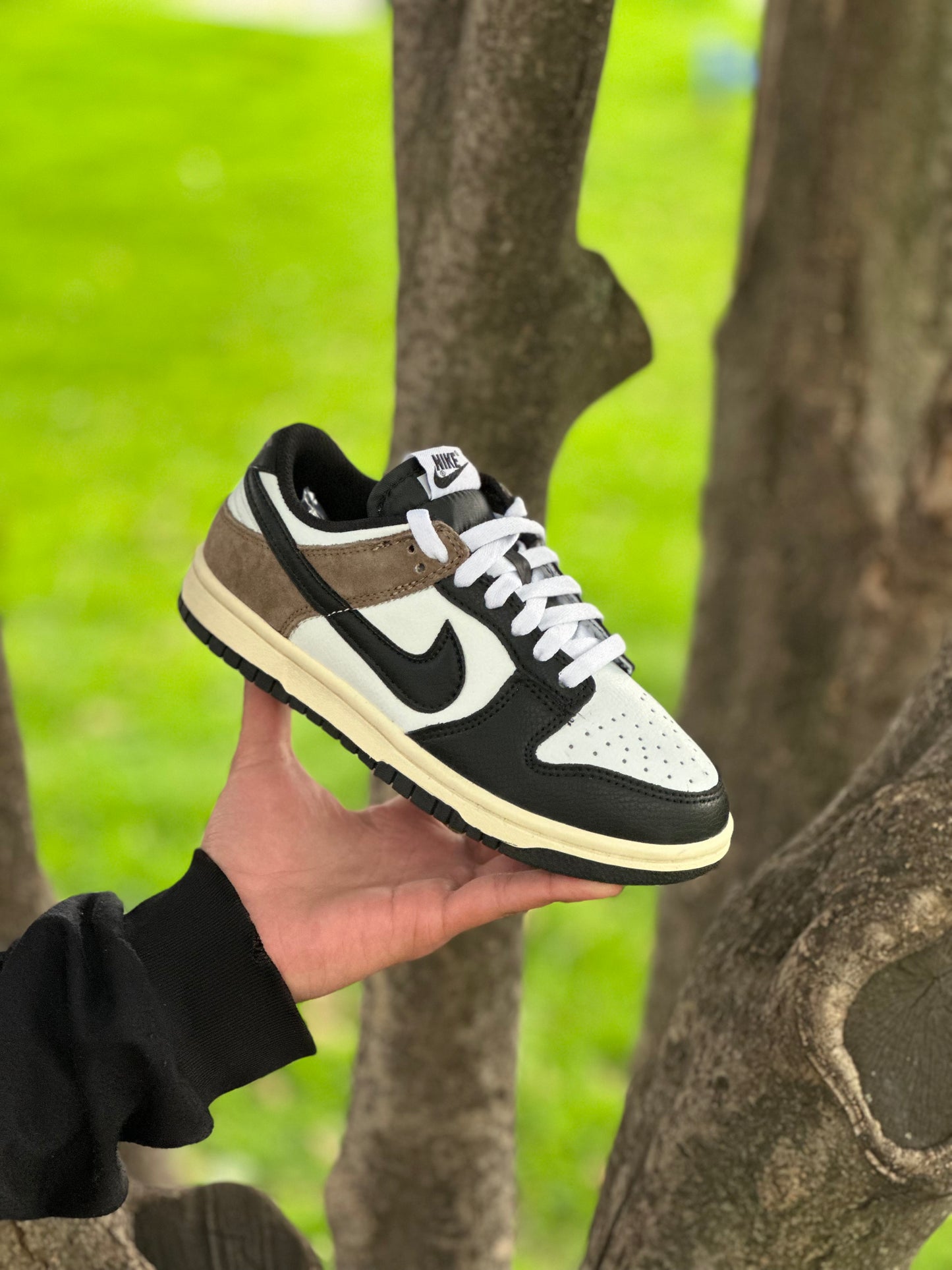 Nike Dunk Dark Mocha
