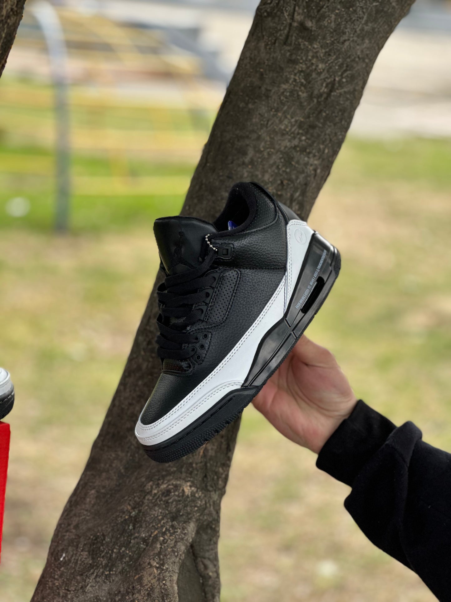 Air Jordan Retro 3 Fragmen