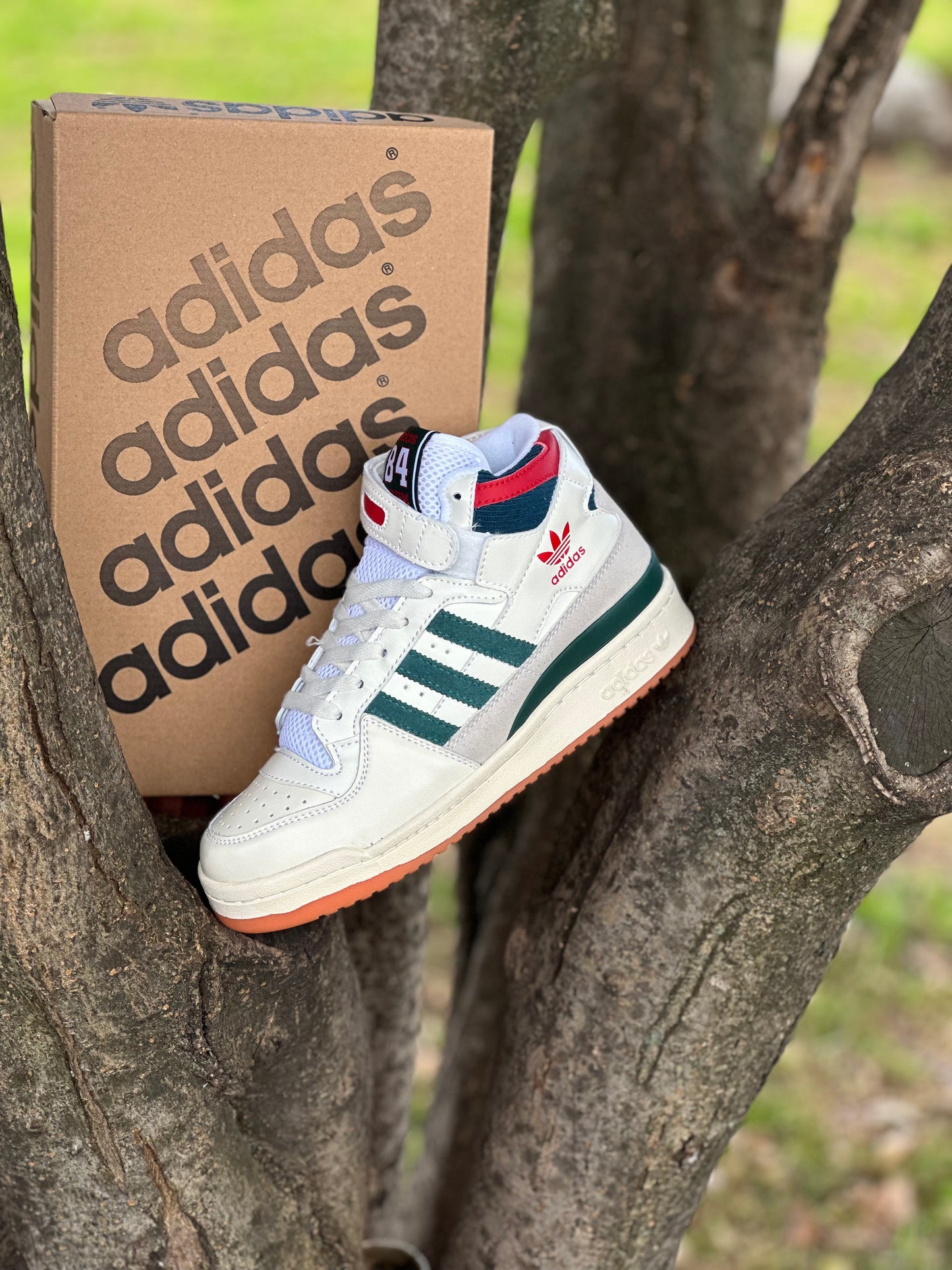 Adidas Fórum 84 High Collegiate Green Red