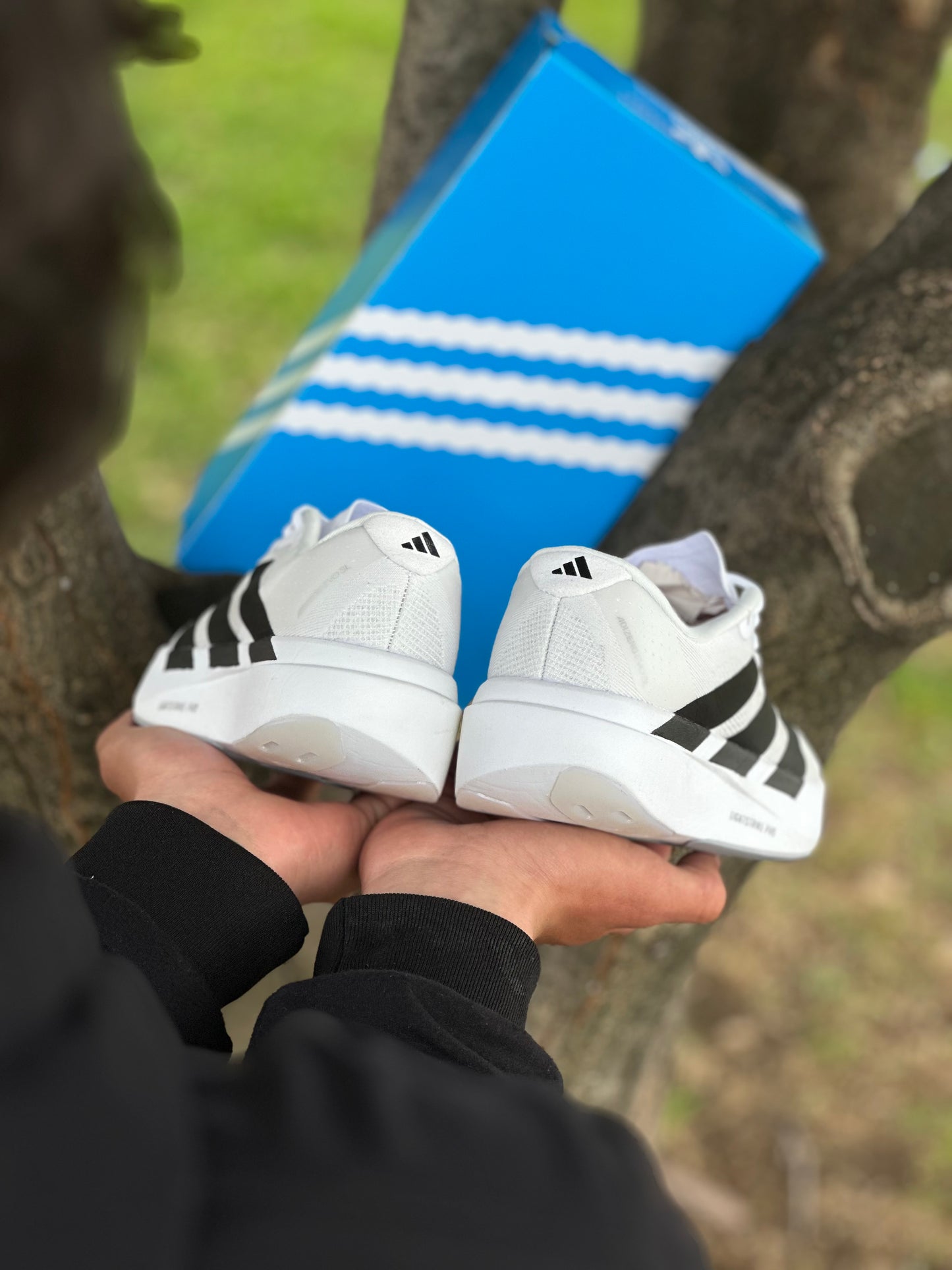 Adidas Adizero Evo SL