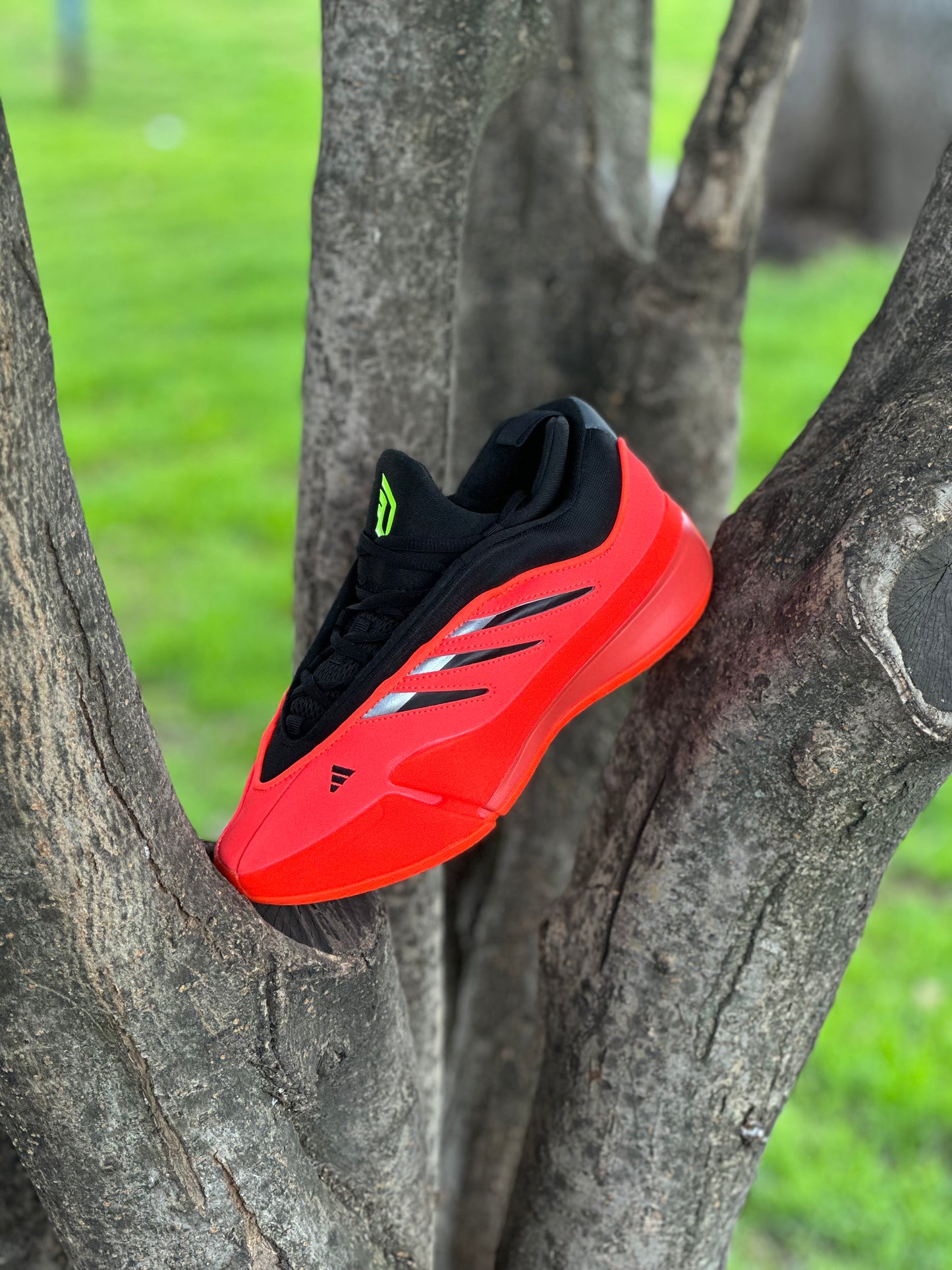 Adidas Dame