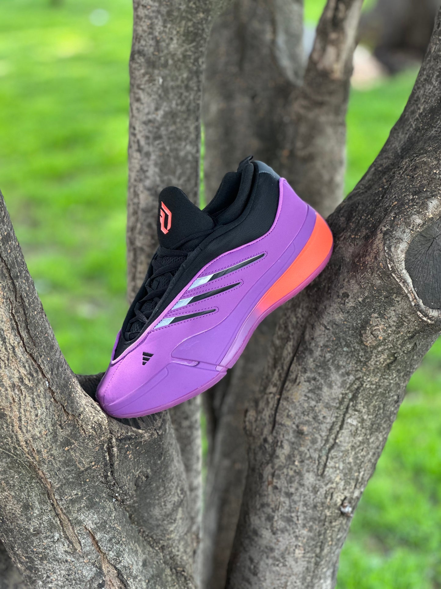Adidas Dame