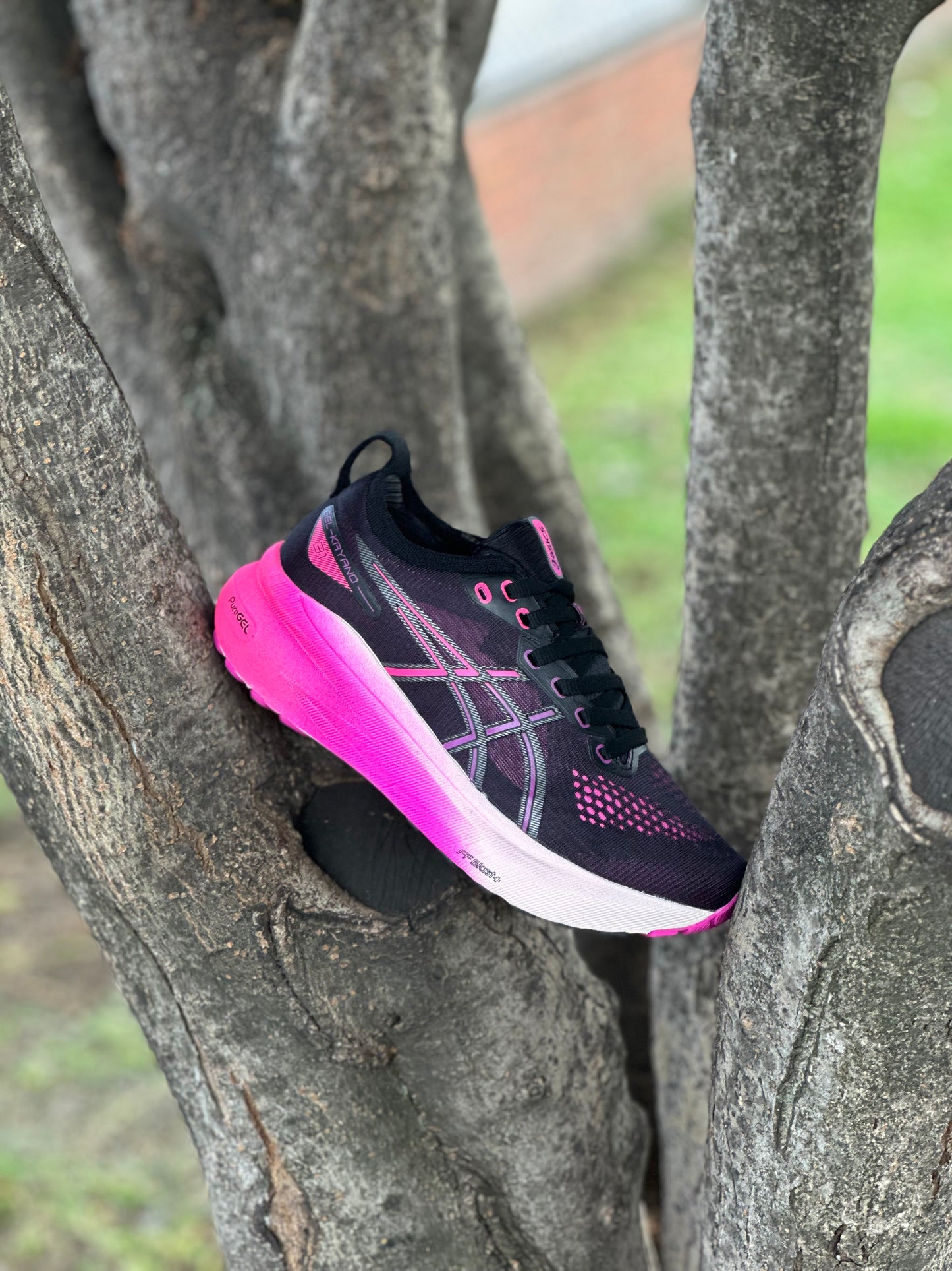 Asics GEL - KAYANO