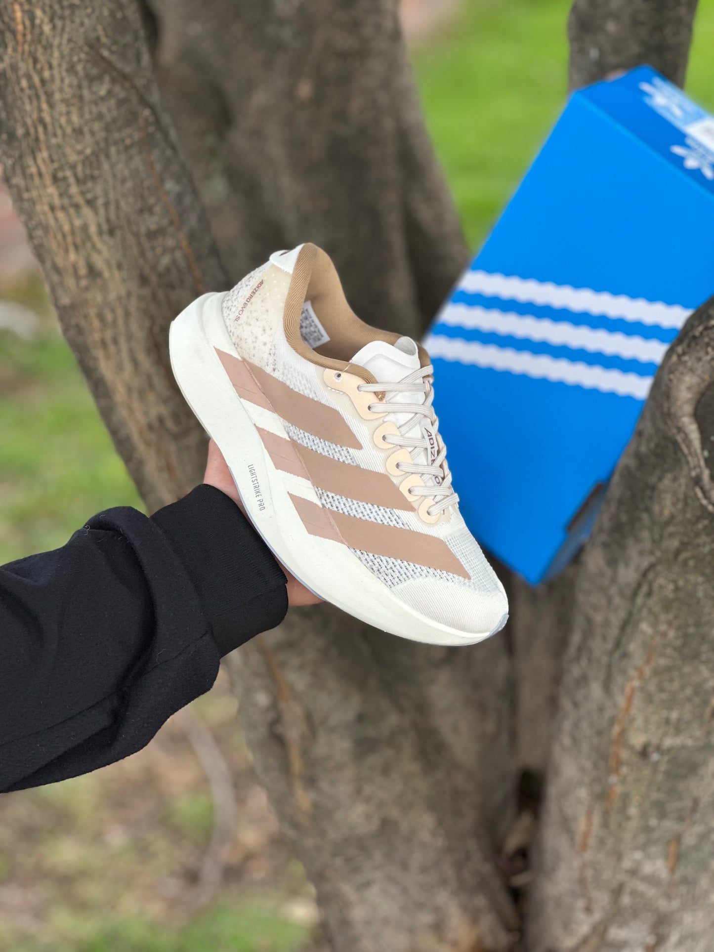 Adidas Adizero Evo SL