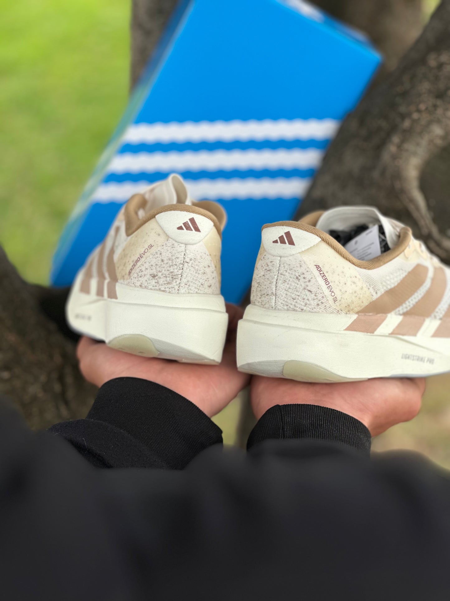 Adidas Adizero Evo SL