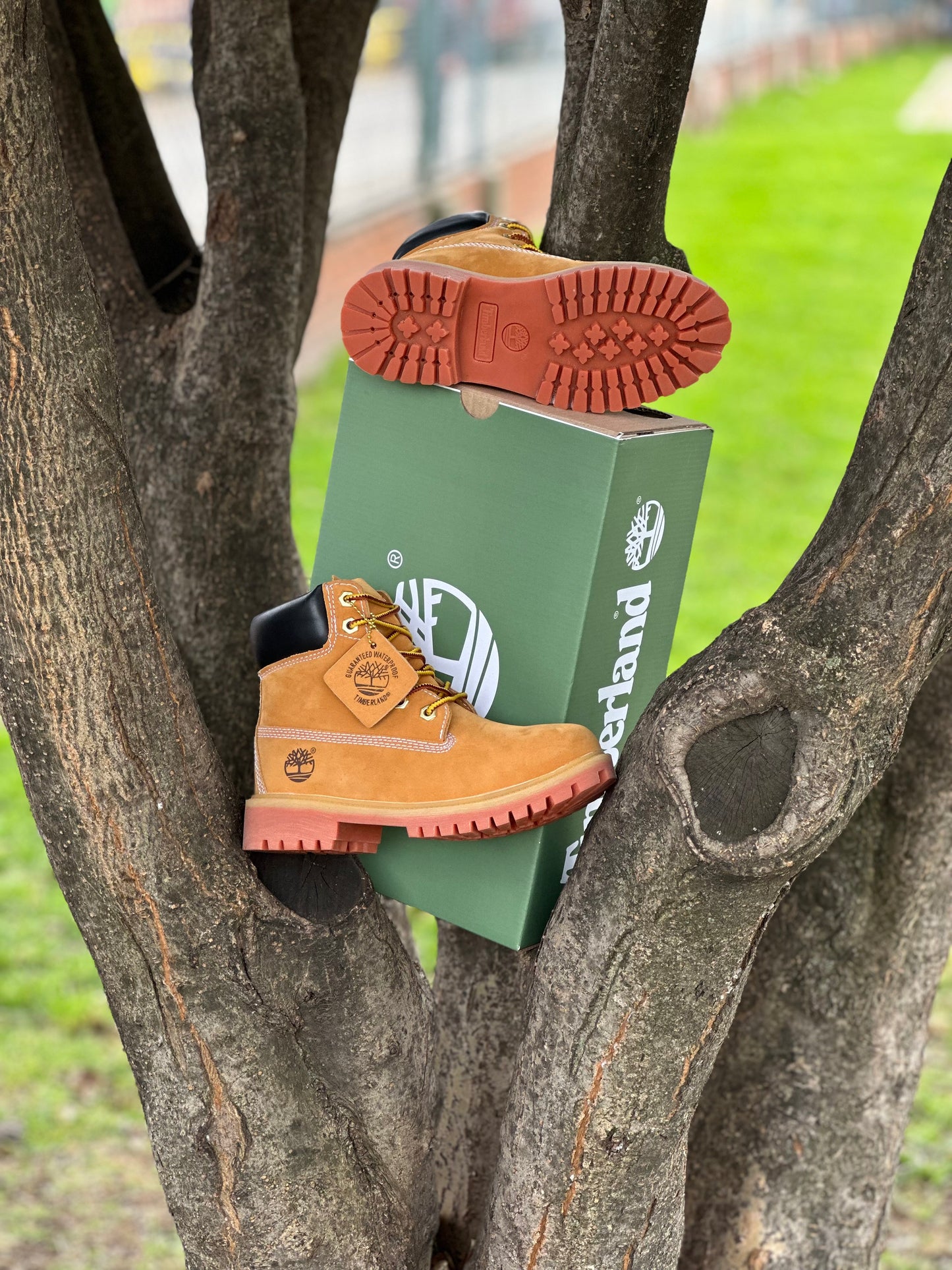 Timberland