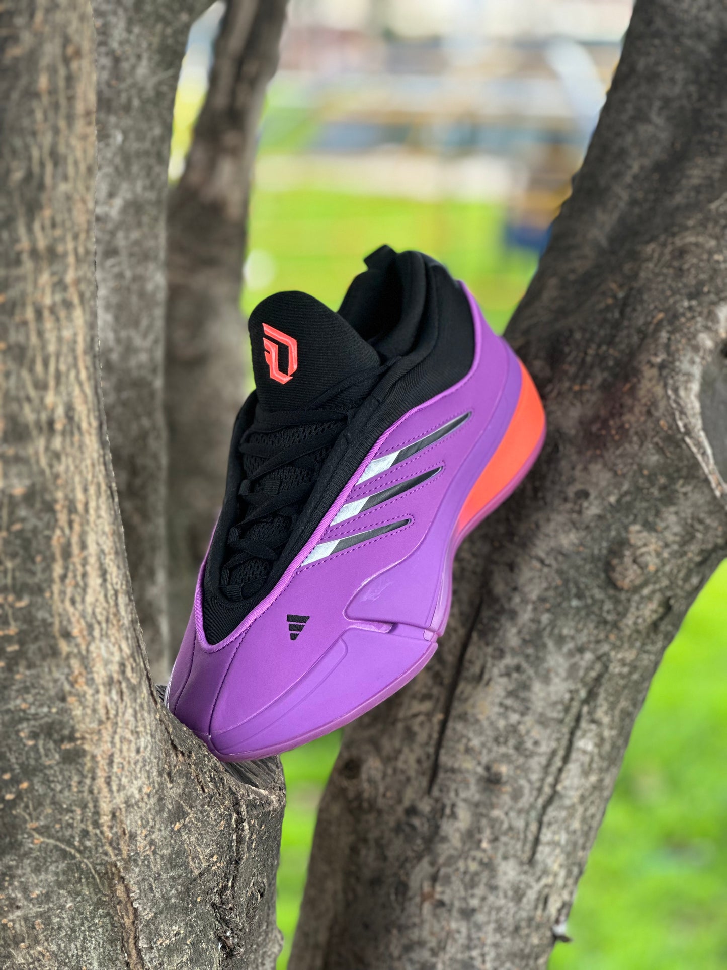 Adidas Dame