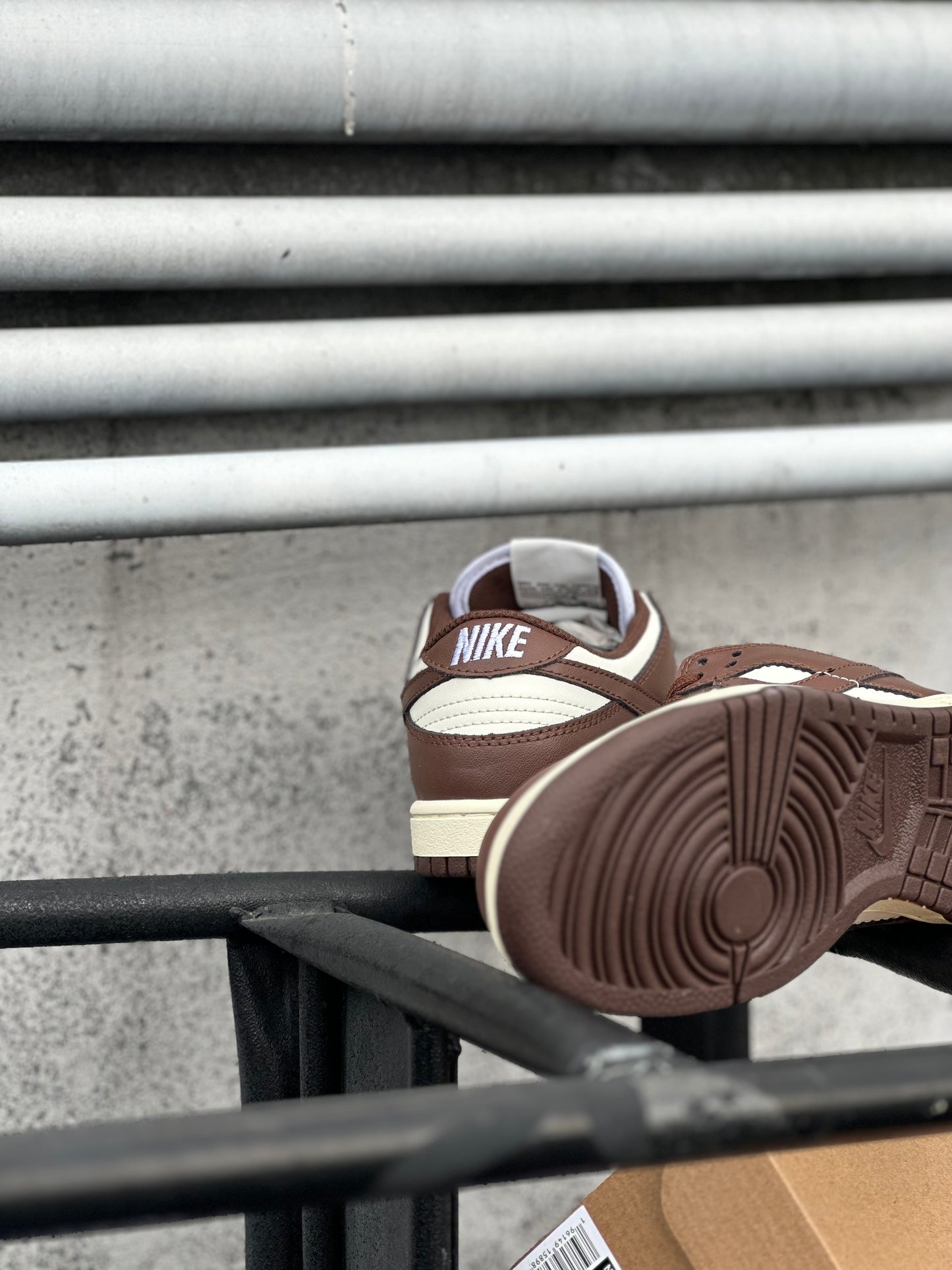 Nike Dunk Low Cacao Wow