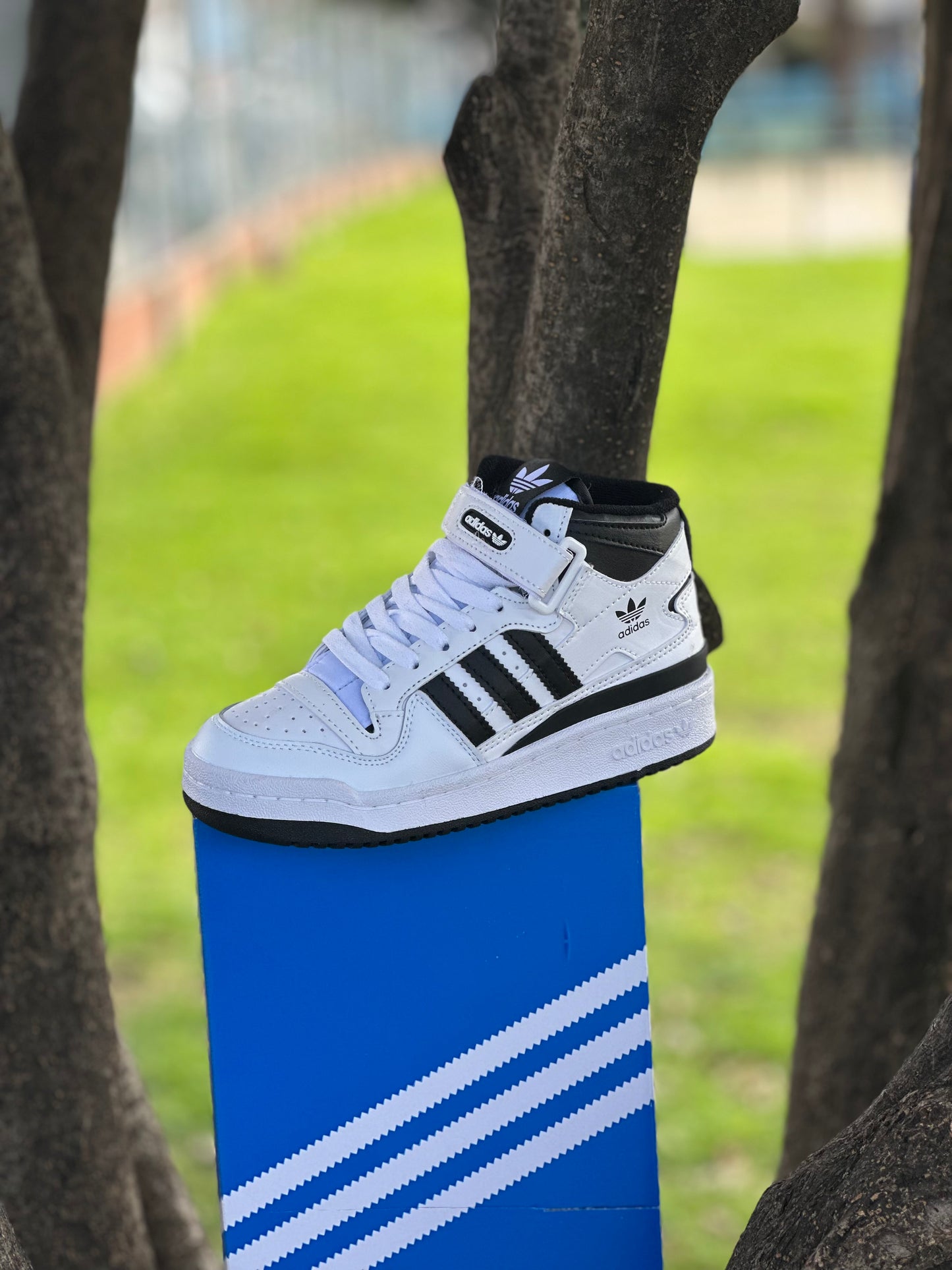 Adidas Fórum High