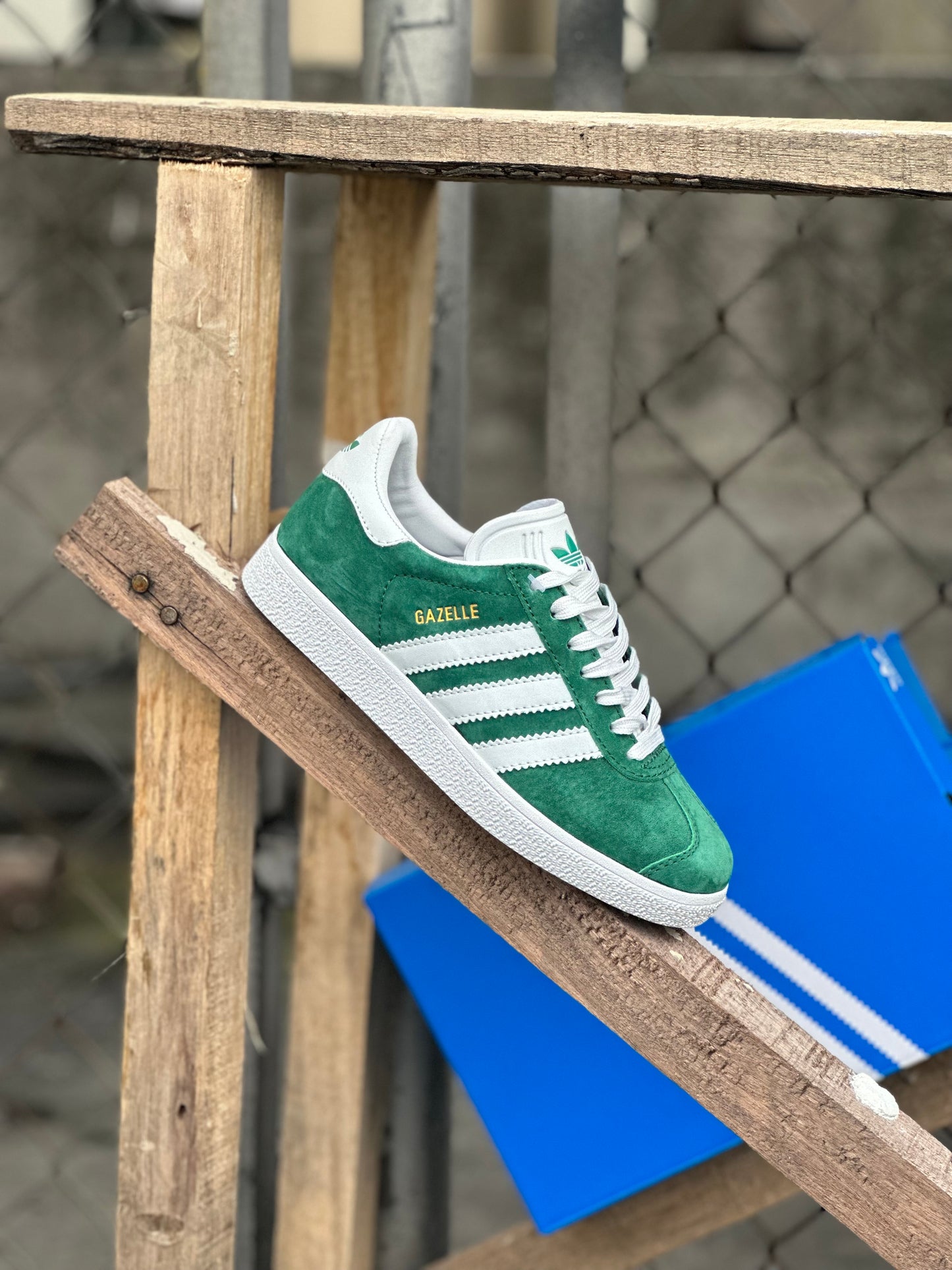 Adidas Gazelle - Satellite Stompers