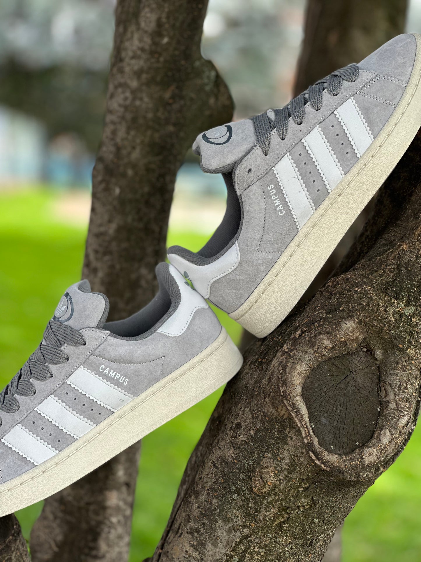 Adidas Campus 00s