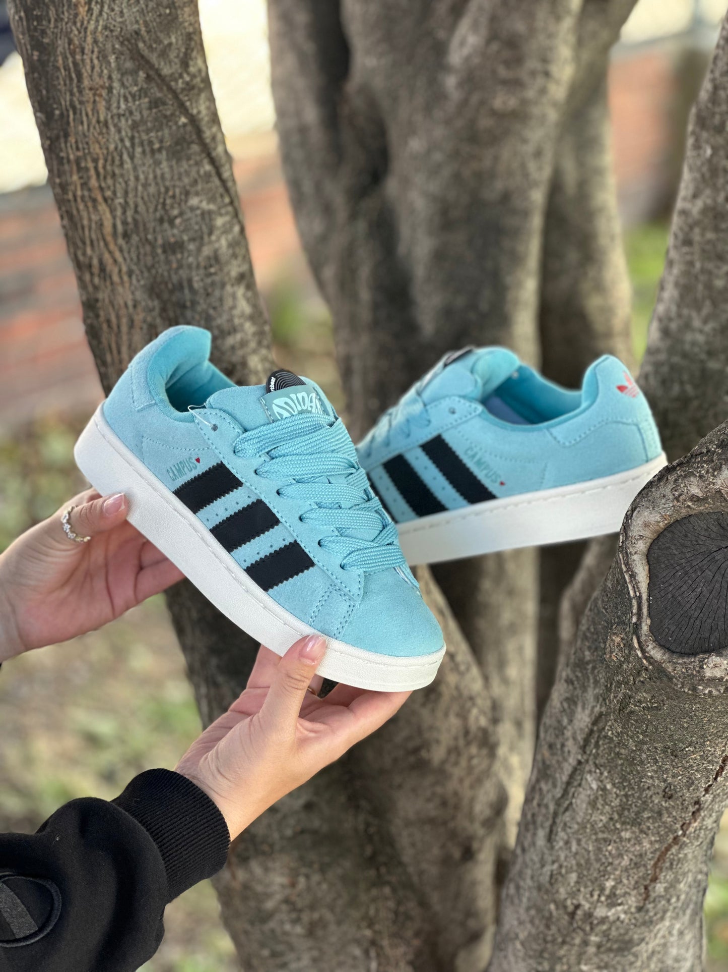 Adidas Campus 00s Turquesa