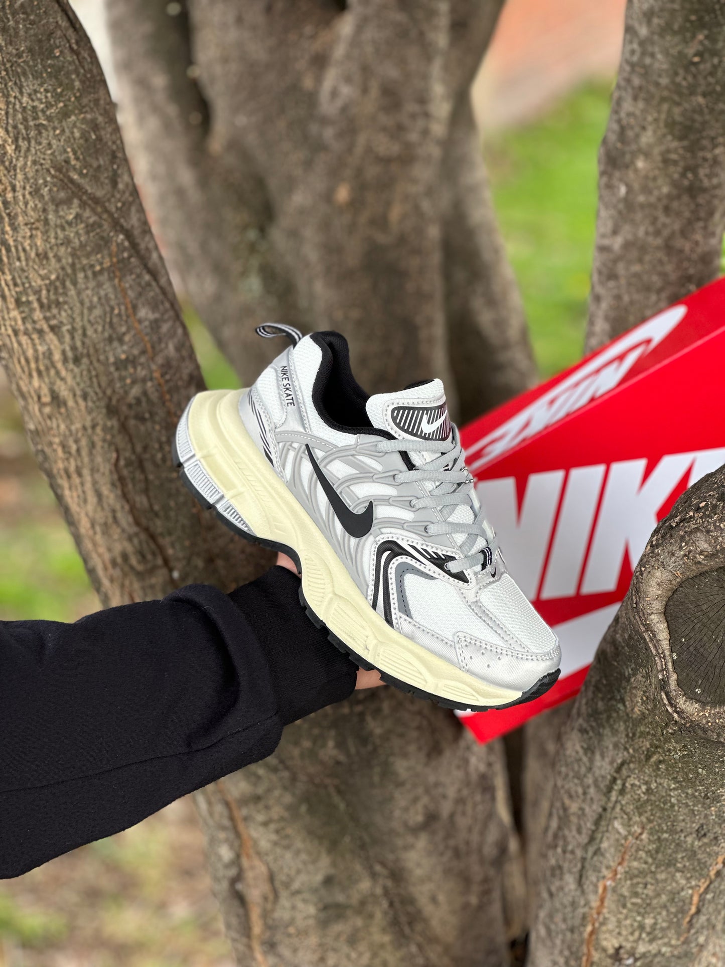 Nike Skate