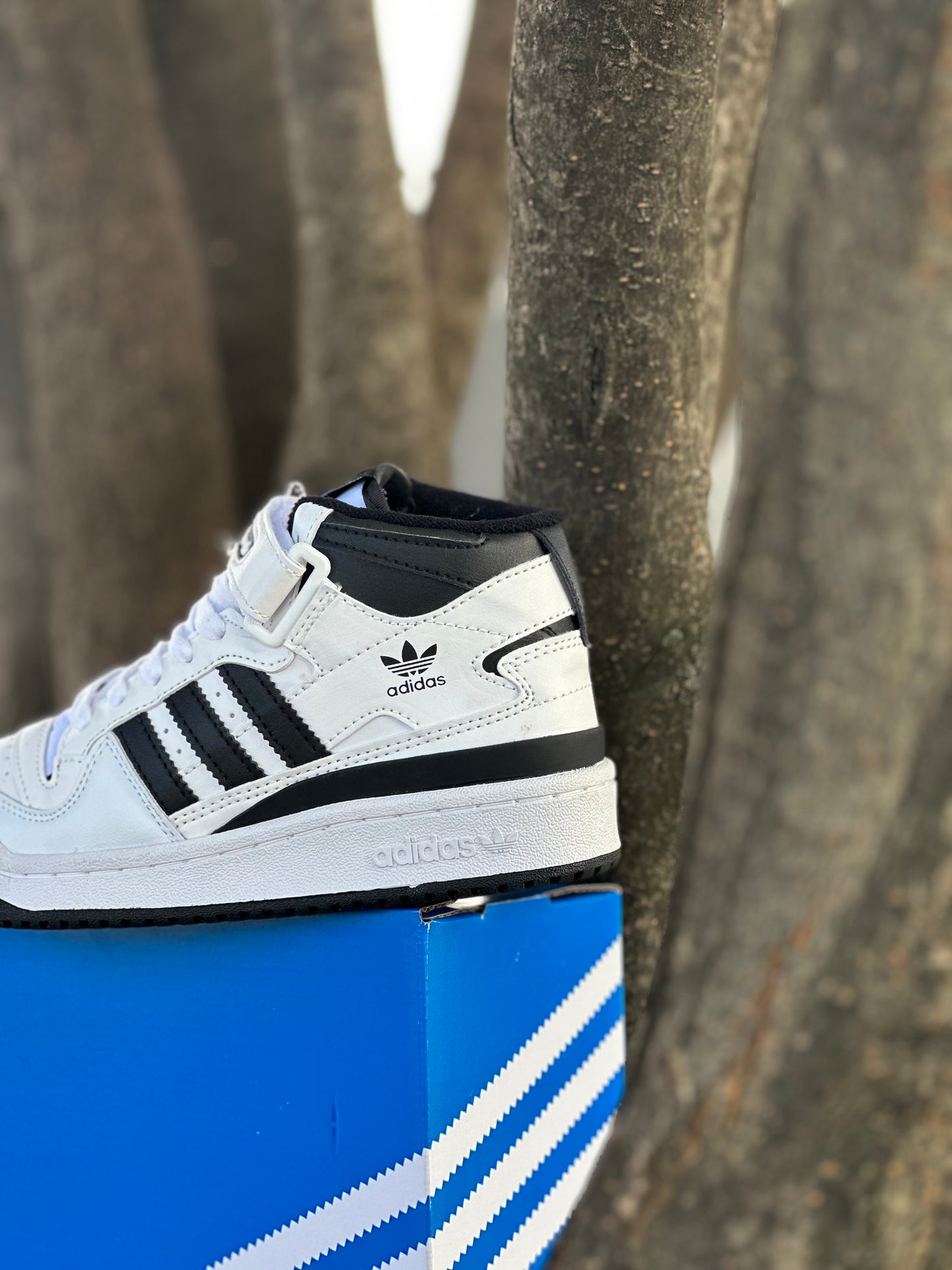 Adidas Fórum High