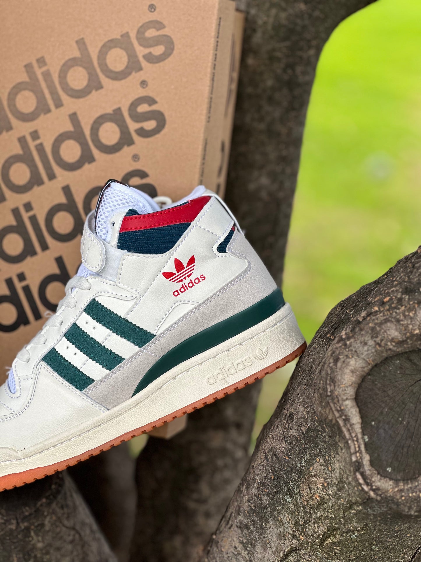 Adidas Fórum 84 High Collegiate Green Red