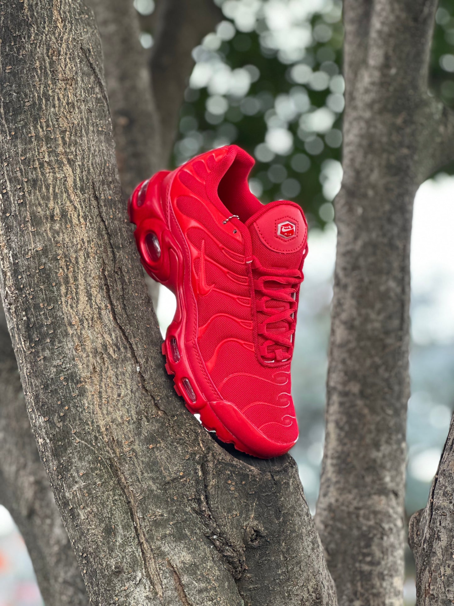Nike TN Red
