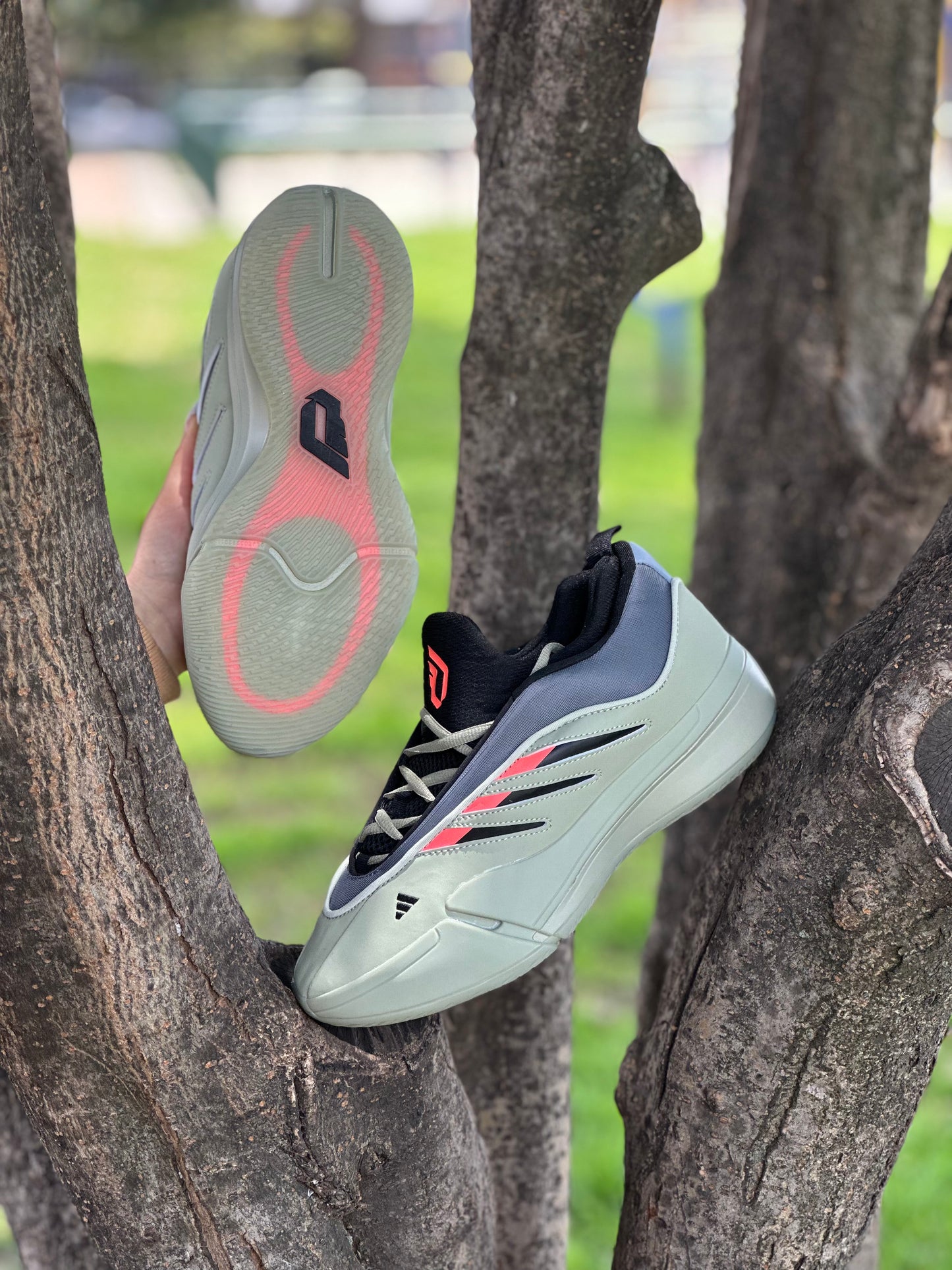 Adidas More Dame