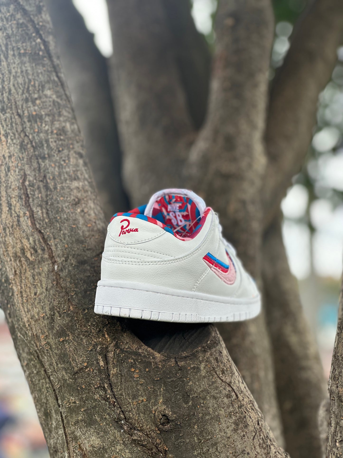 Nike SB Dunk Low Parra