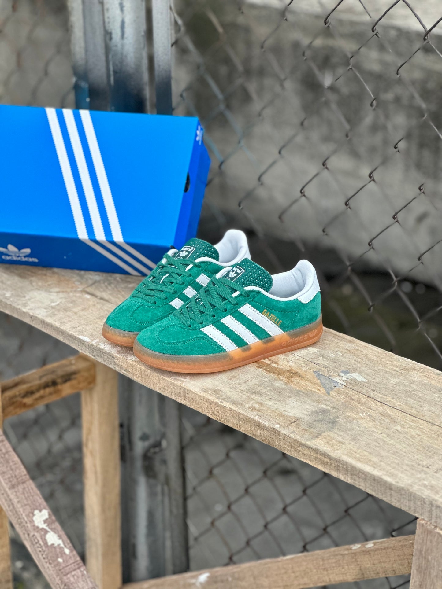 Adidas Gazelle Indoor