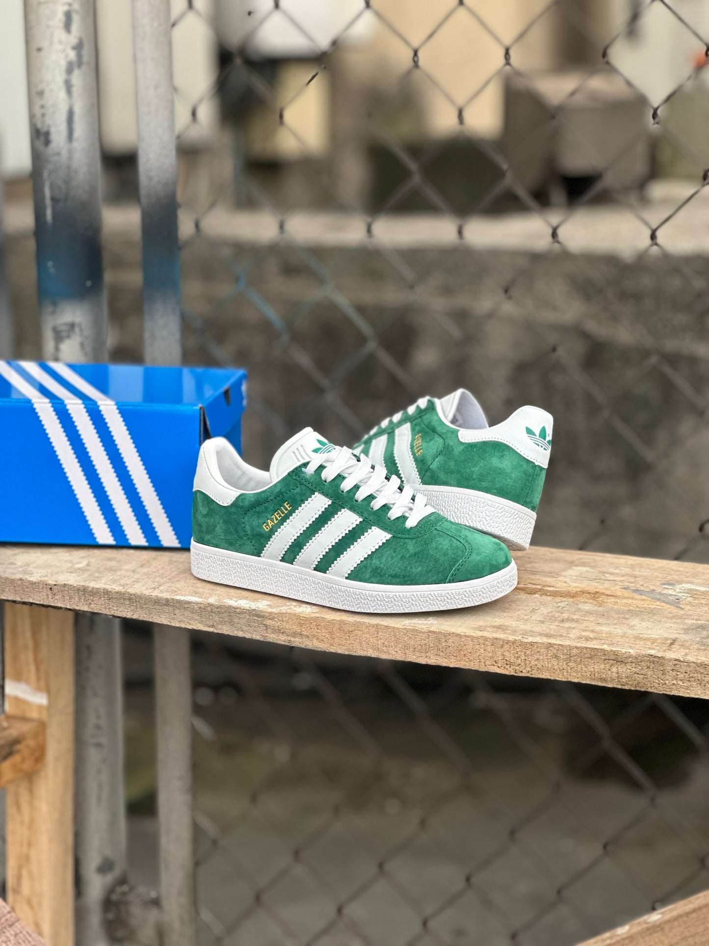 Adidas Gazelle - Satellite Stompers