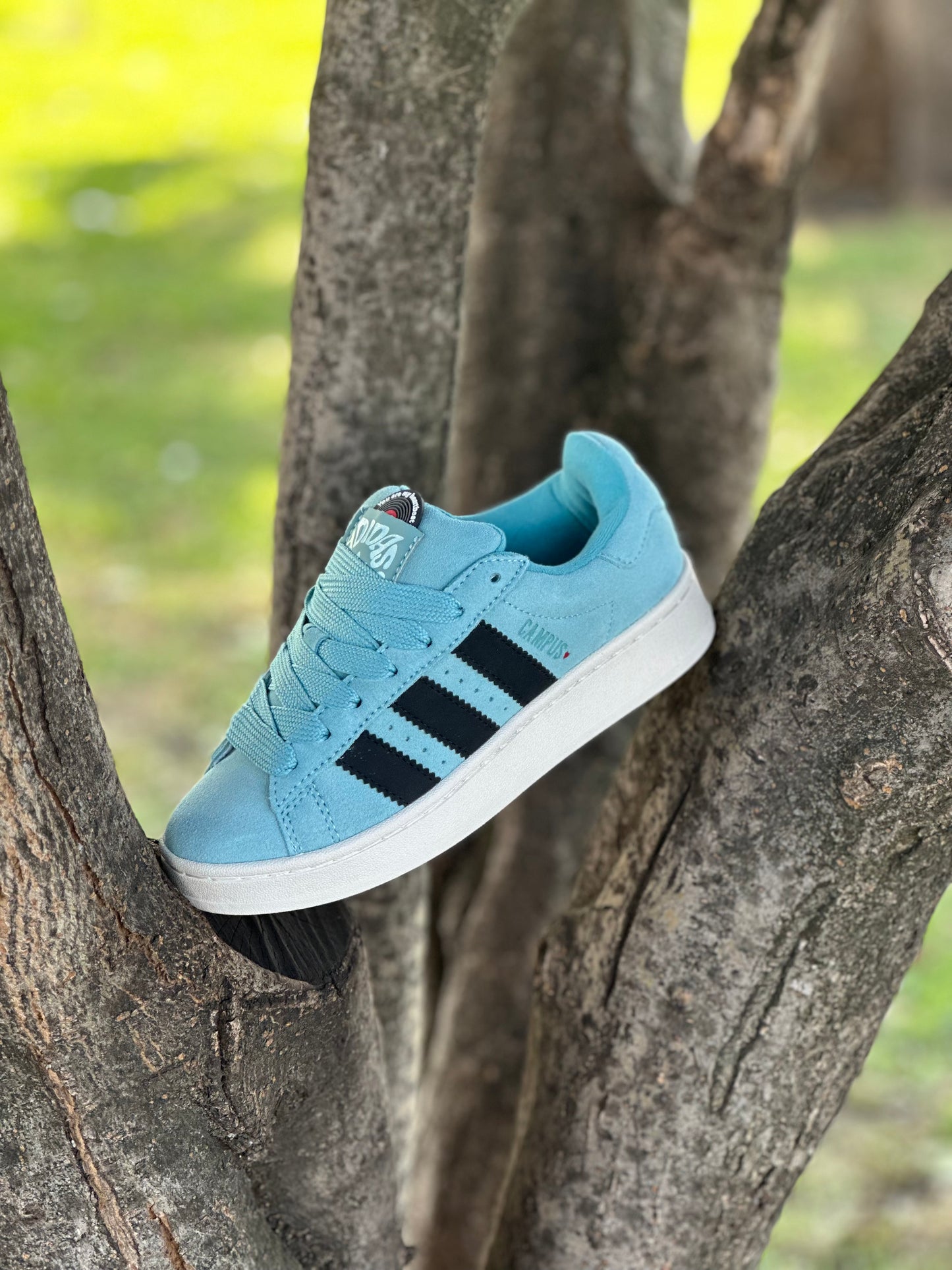 Adidas Campus 00s Turquesa