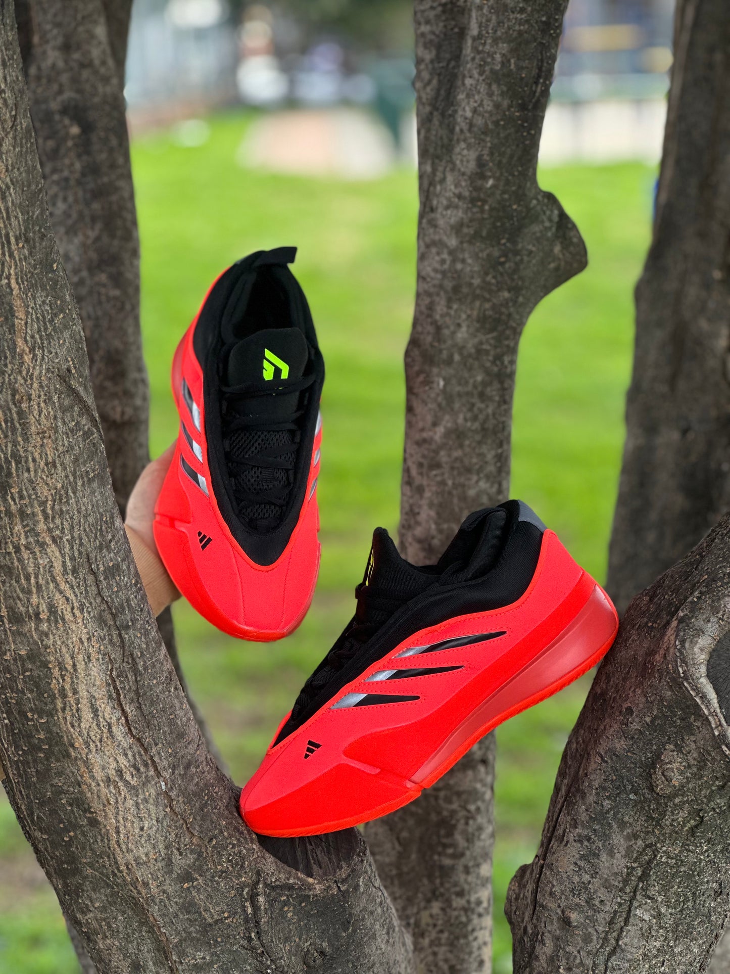 Adidas Dame
