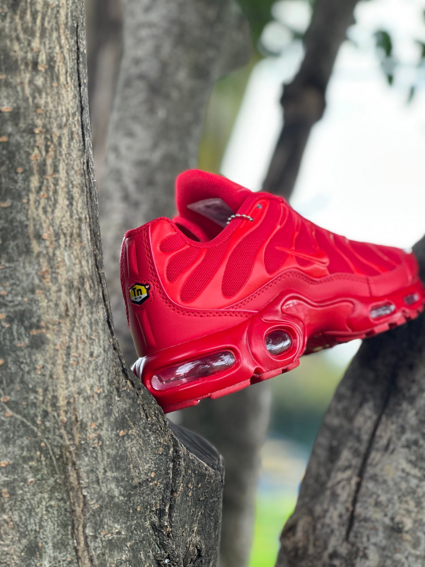 Nike TN Red